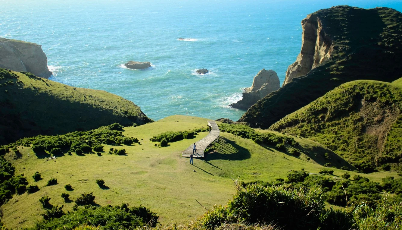 Parque Nacional de Chiloé — el paisaje que inspiró el método de Salud Evolutiva